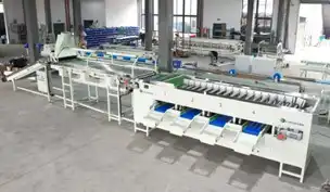 Onion processing line