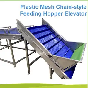 Onion Sorting Machine at Best Price in Israel