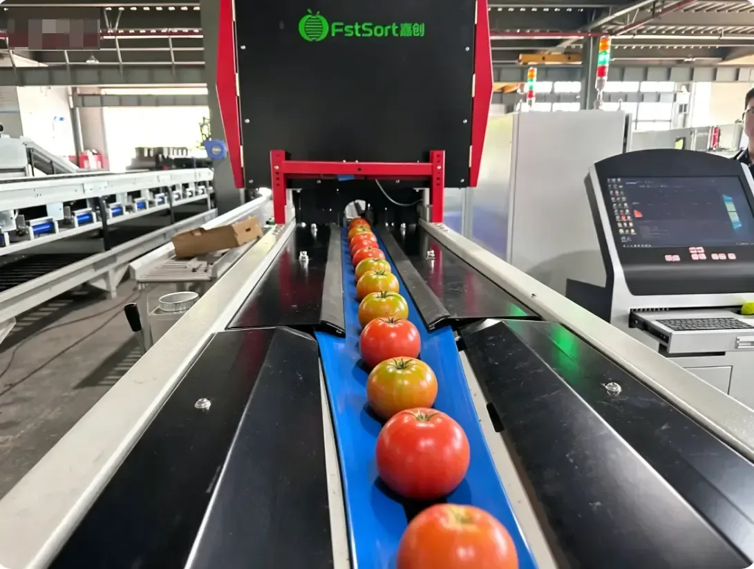 Optical sorter for tomatoes – detecting color, shape and surface defects with high-speed cameras