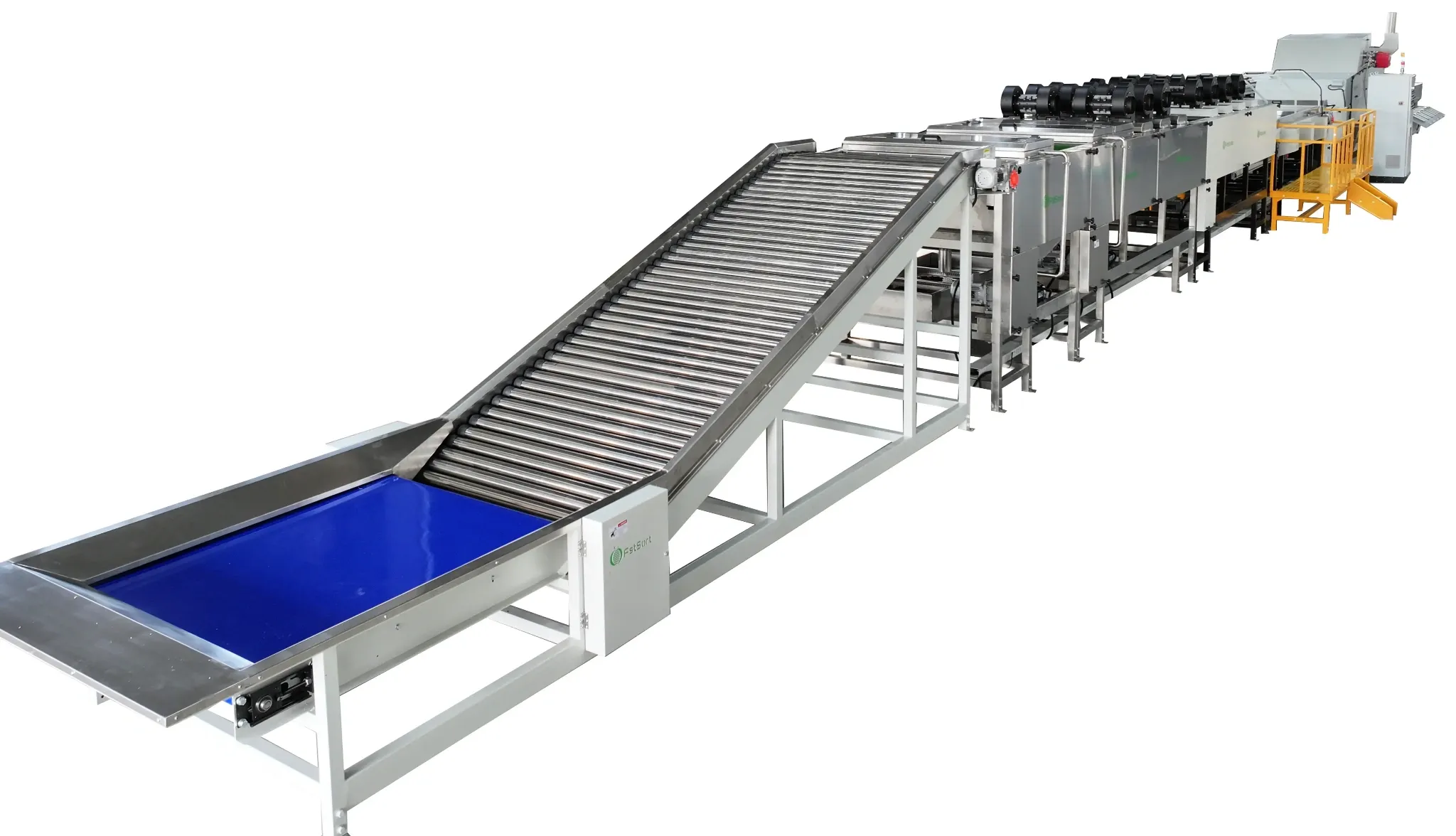 Fstsort orange cleaning drying waxing sorting line Made in China