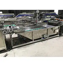 Passion cleaning grading and weighing line sent to Vietnam