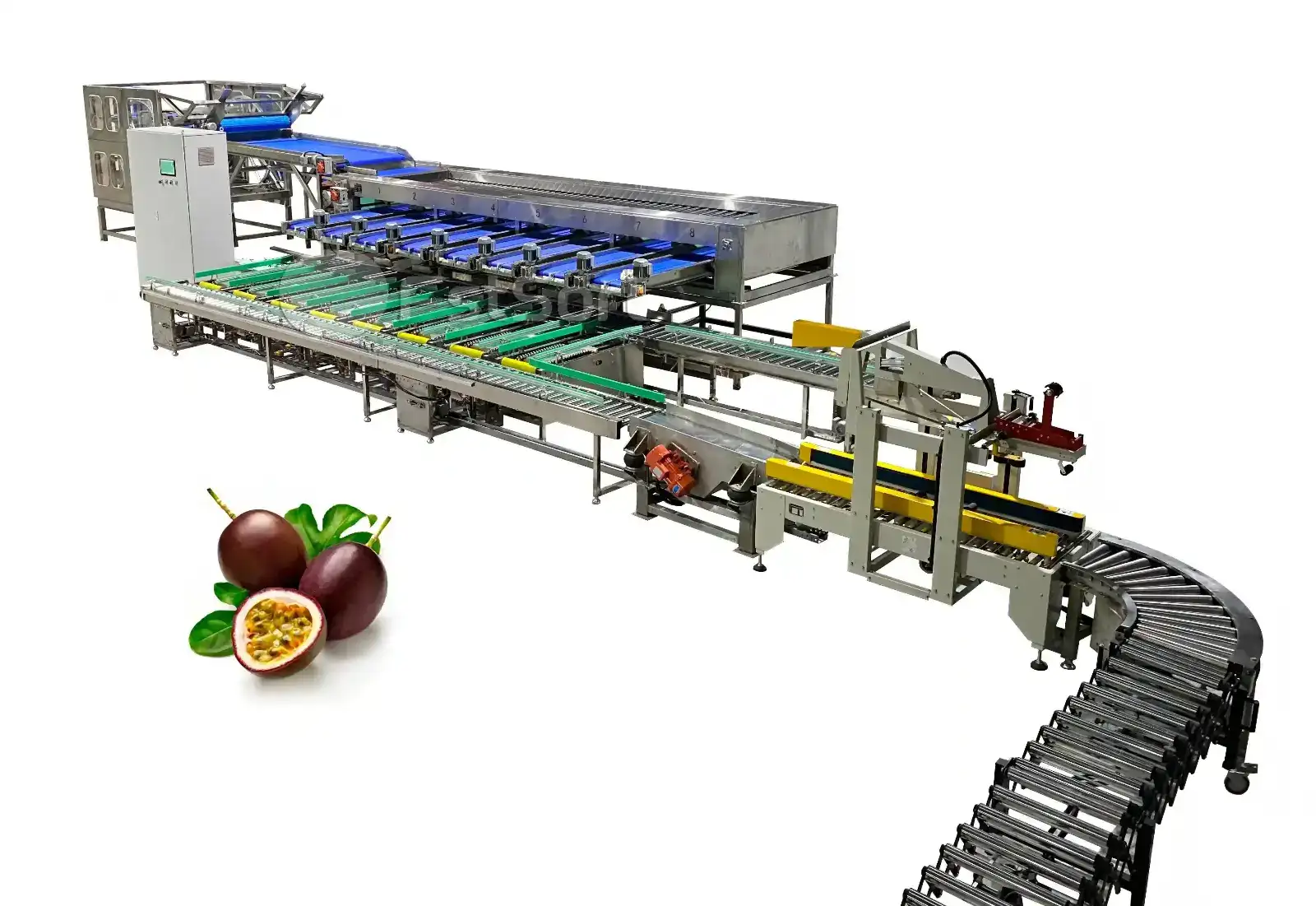 Passion fruit packing line