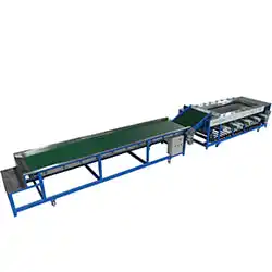 Passion fruit processing machine