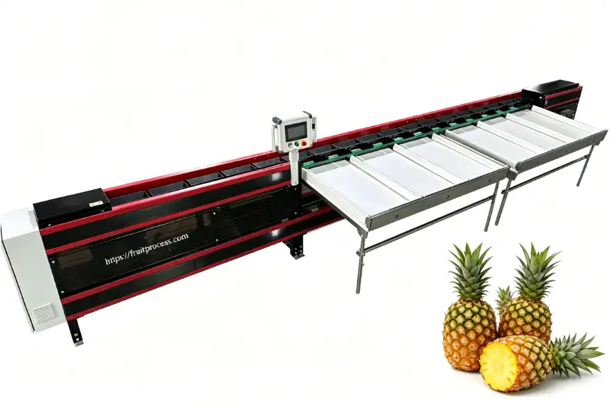 Pineapple weight sorting machine from fstsort