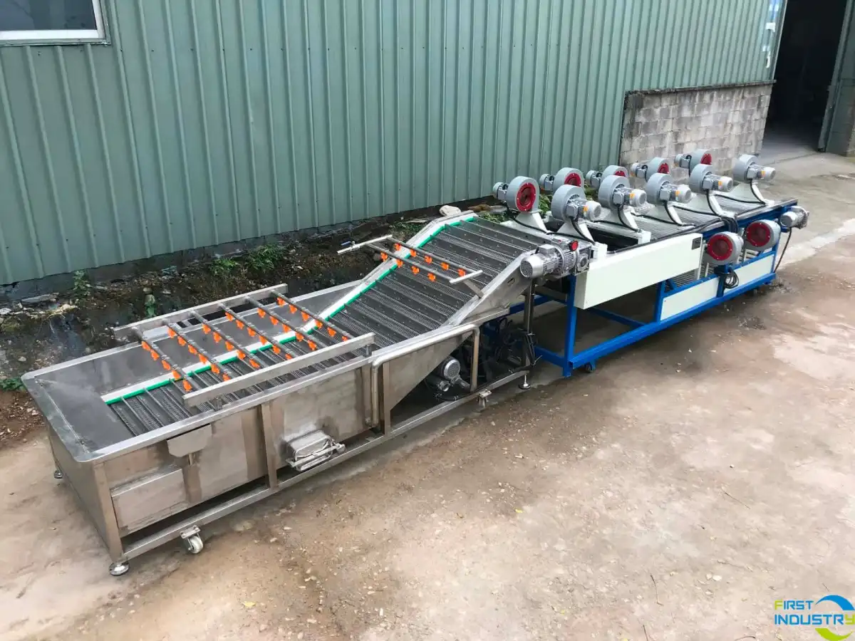 Pitaya cleaning machine Pitaya cleaning machine