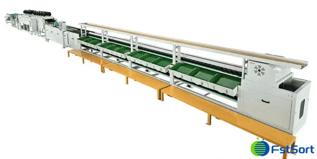 Pomegranate Sorting Line