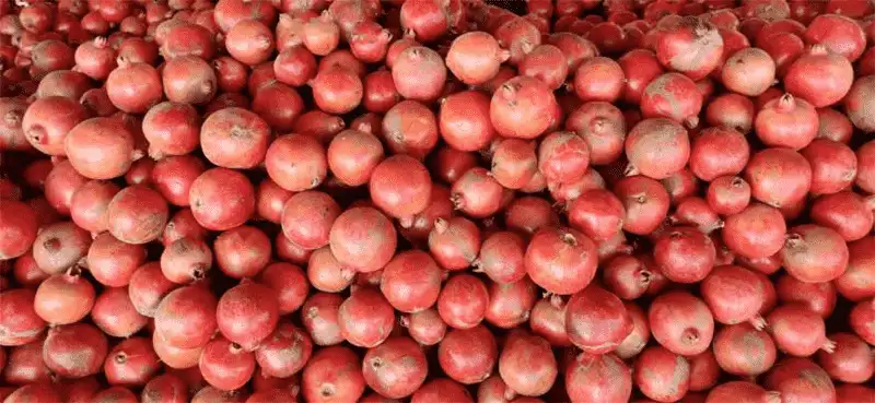 Pomegranate Sorting Machine