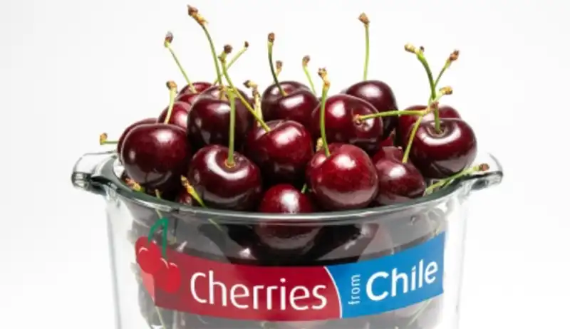 Primer barco de cerezas chileno llega a China