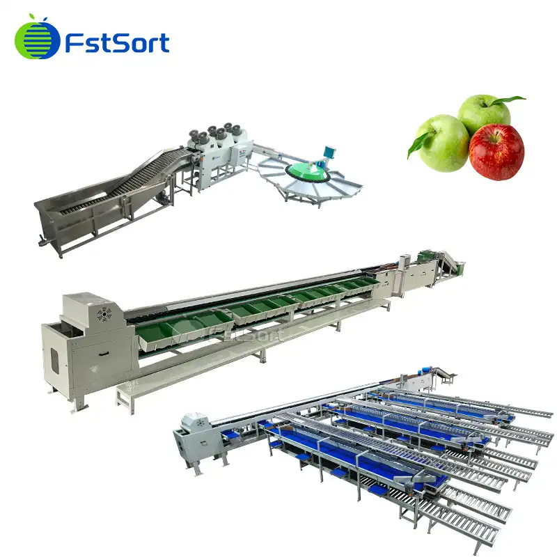 Processing, sorting, grading and packaging machines for fresh Apples