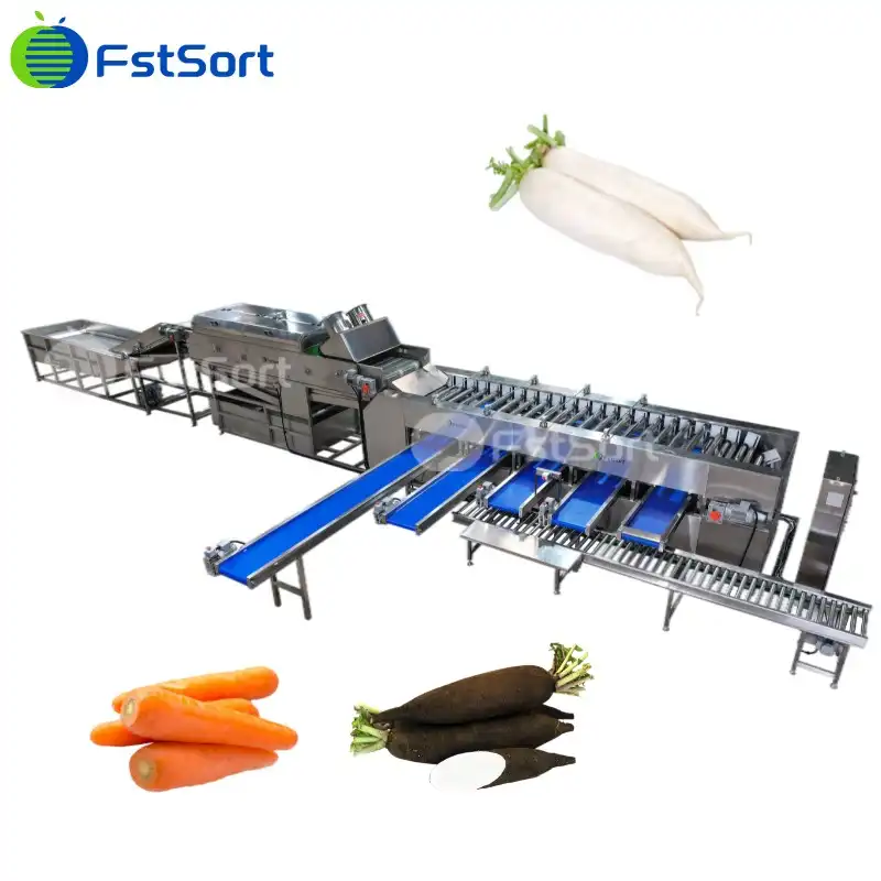 Radish sorting grading machine