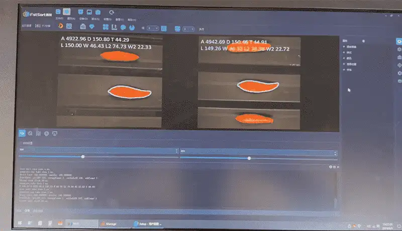 Revolutionizing Sweet Potato Processing: Precision Sorting Meets Efficiency