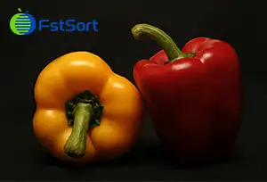 ¡Se acerca la temporada de cosecha de pimientos morrones!