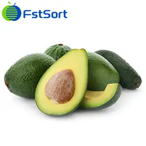 Se espera que la producción chilena de aguacate caiga un 14 por ciento en la temporada 2023