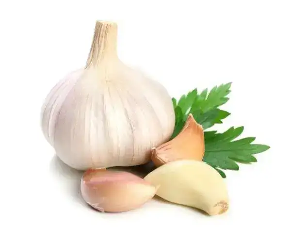 Six key steps of sorting garlic