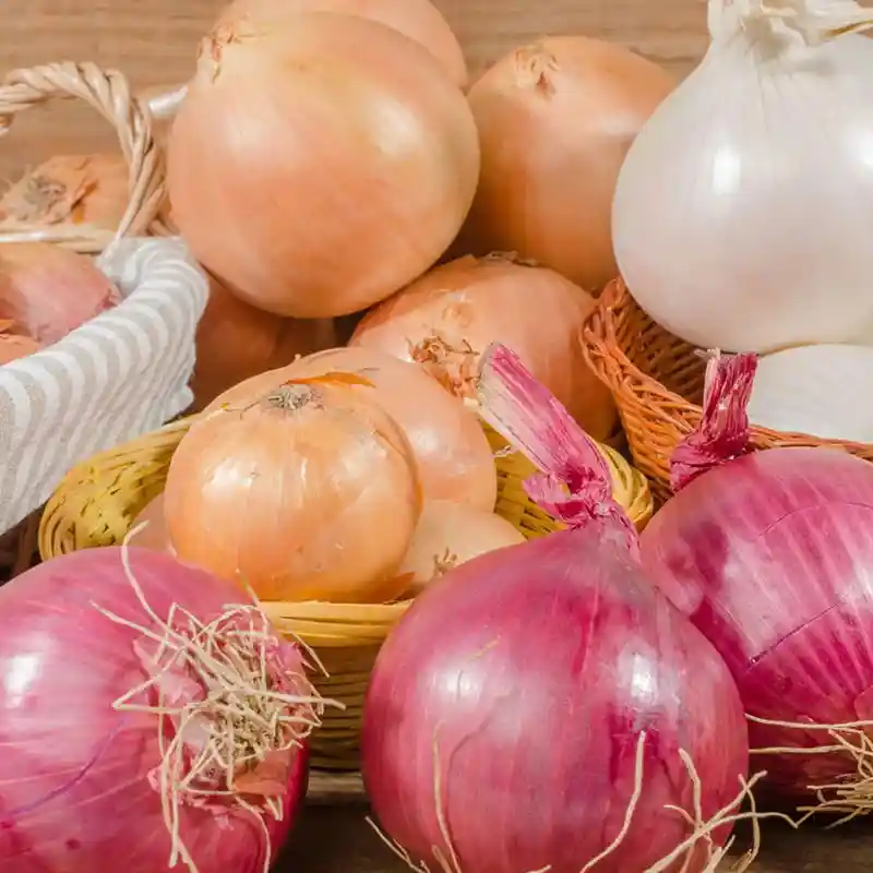 Sort onions to the best size
