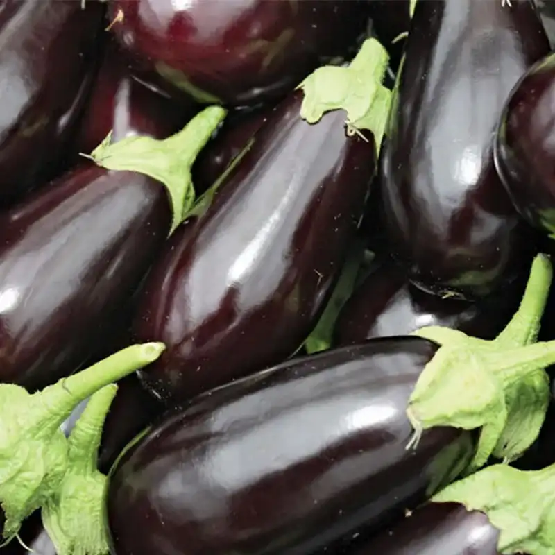 Sorting eggplant efficiently