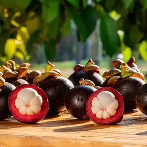 Sorting grading machine for mangosteen