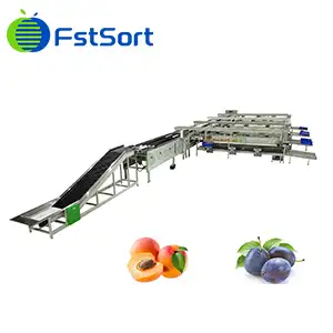 Sorting solutions for Plums and apricots