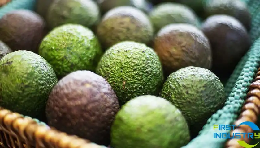 images/1558403052797avocado.jpg