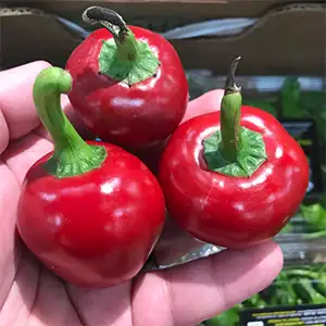 South African delicacy-cherry pepper