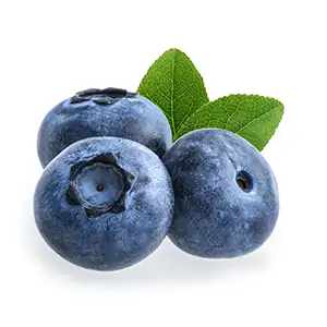 Southern hemisphere exporting 310,000 tons of blueberries sets a new record