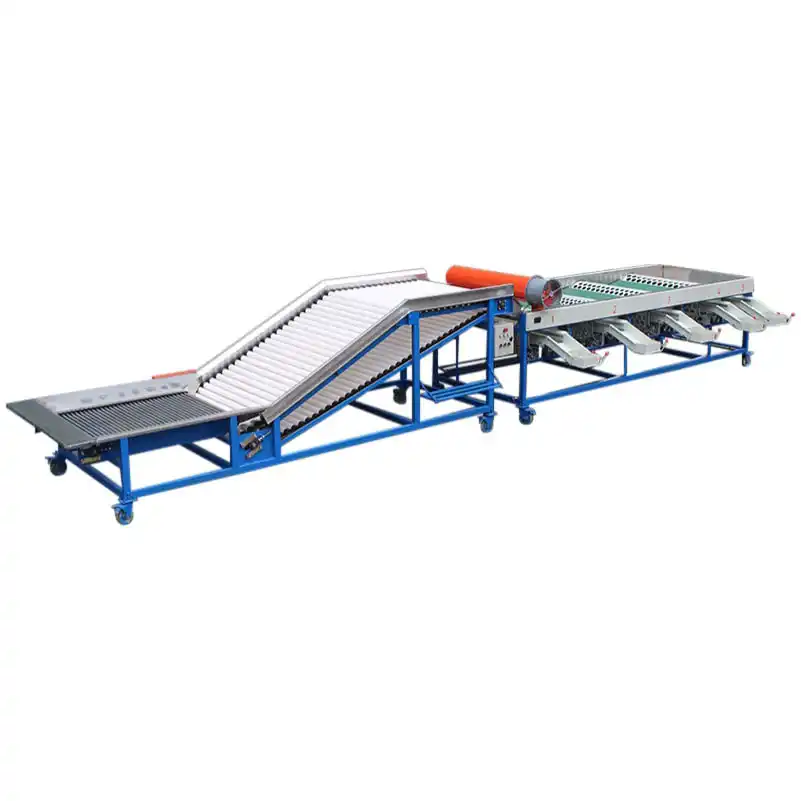 Special design for garlic bulb grading machine