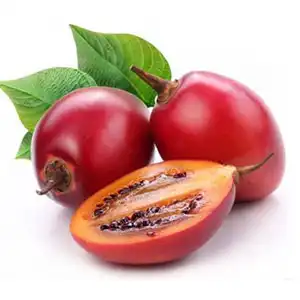 Tamarillo sorting machine