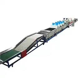 Tanzania Customer visited avocado processing line