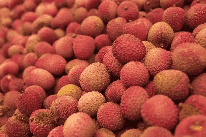 Thai Customer Chooses Affordable Lychee Grading Machine to Enhance Efficiency