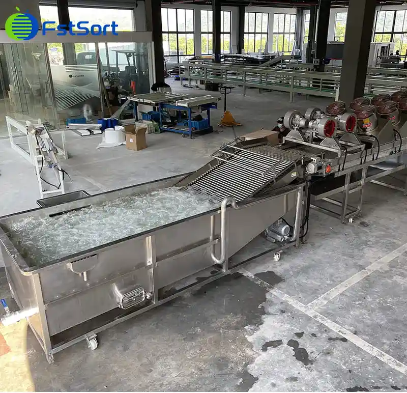 The 4th purchase of our machine by a Korean tomato processing plant