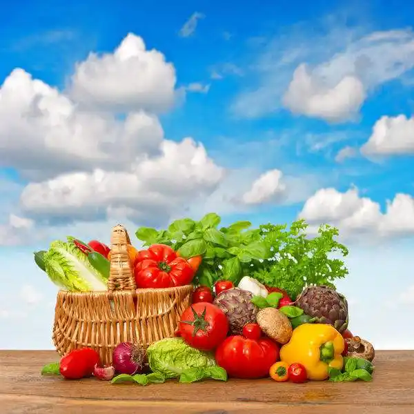 The importance of fruit and vegetable sorting machines