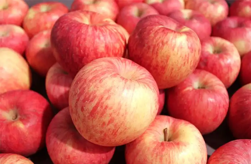 The king of winter fruits: the market for Red Fuji apples and the growing demand for sorting machines