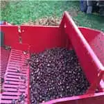 The Processing Line for Chestnuts