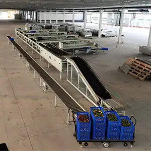 The tomato grading packaging line was successfully installed