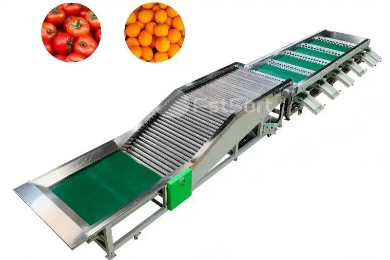 tomato sorting machine made in China