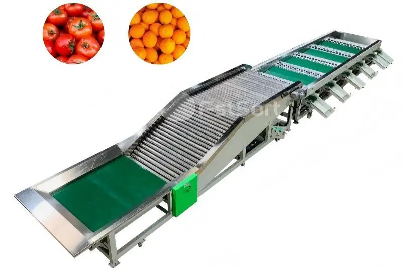 tomato sorting machine made in China