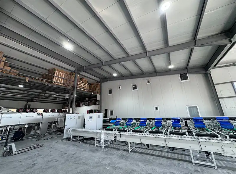 tomato sorting machine with AI camera