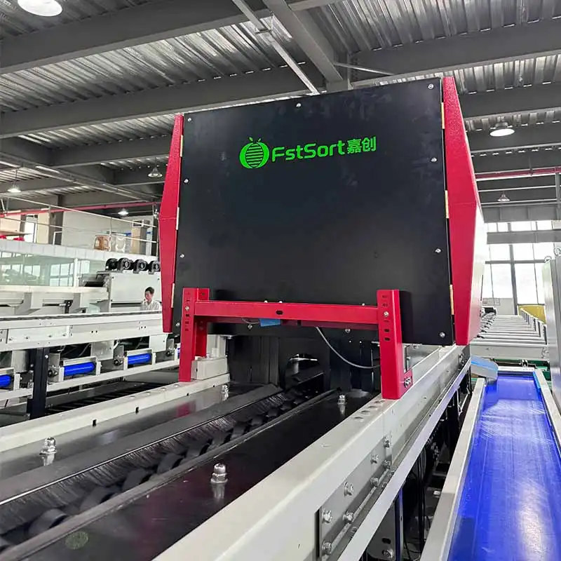 Tomatoes Optical Sorting Machine