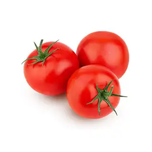 Unlock Morocco's Tomato Potential: Precision Sorting for Peak Profits