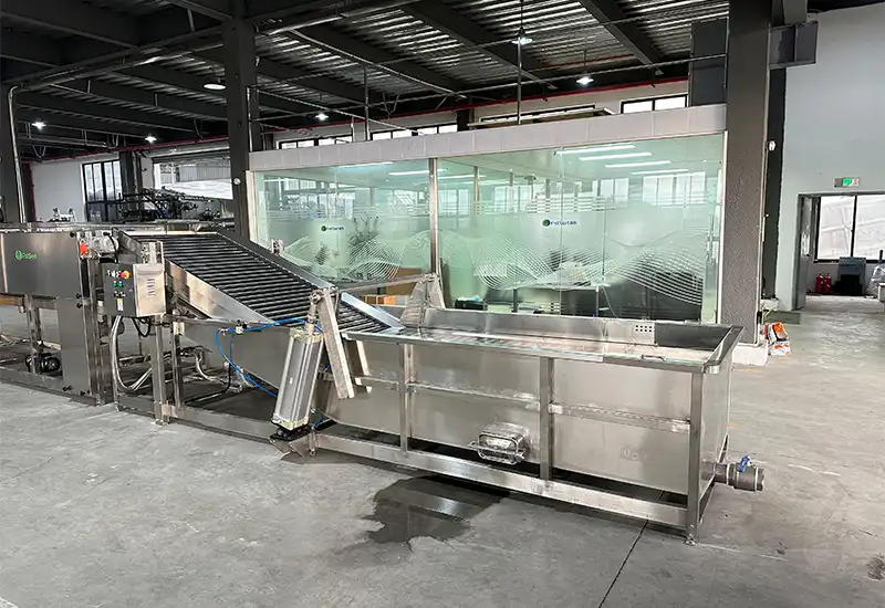 Vegetable Washing Machine