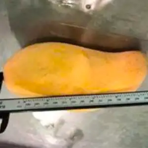 Vietnamese Mango Producers Embrace Precision Weight-Sorting Technology to Boost Global Exports