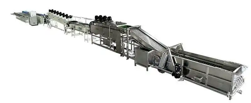 washing drying sorting line for Red Dragon Fruit and Yellow Pitahaya