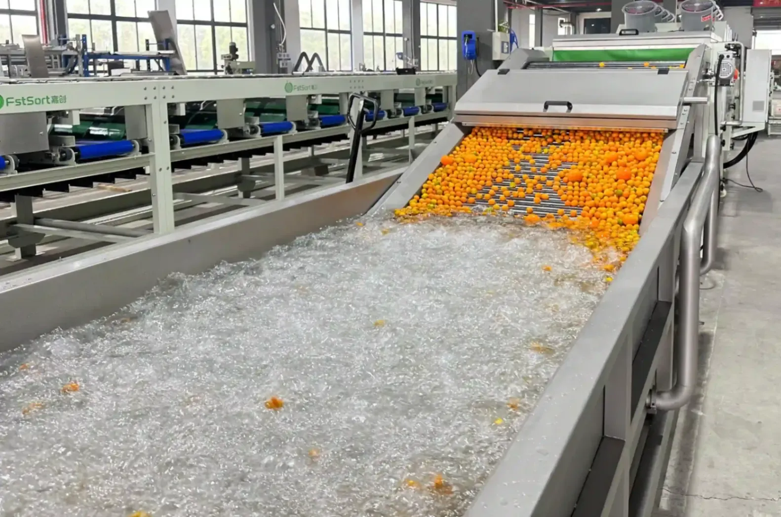 washing machines for different types of fruits, vegetables, nuts