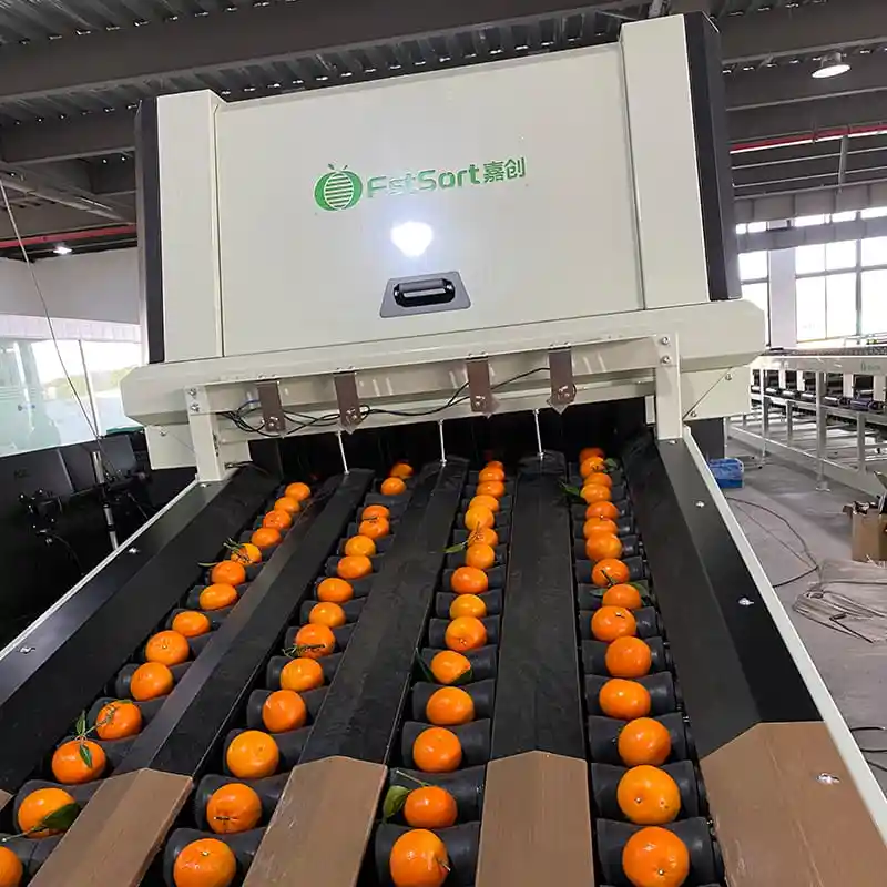 Why electronic vision sorting systems are popular for fruit packing warehouse